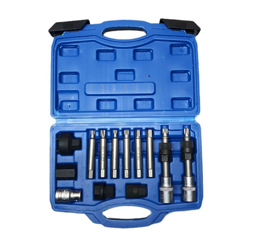 13pcs Alternator Freewheel Pulley Removal Set