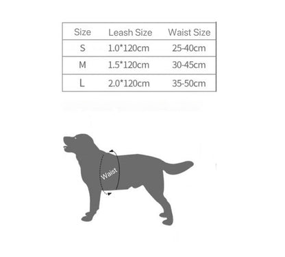 Dog Harness and Leash Set | Small - Medium