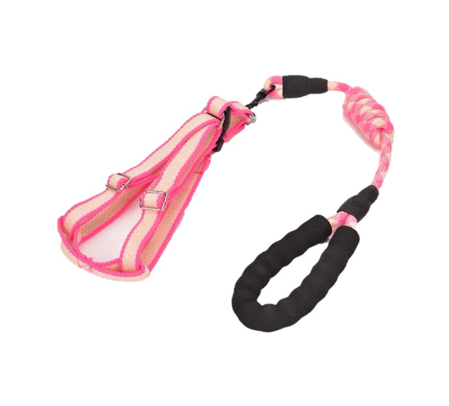 Dog Harness and Leash Set | Small - Medium