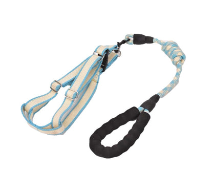 Dog Harness and Leash Set | Small - Medium
