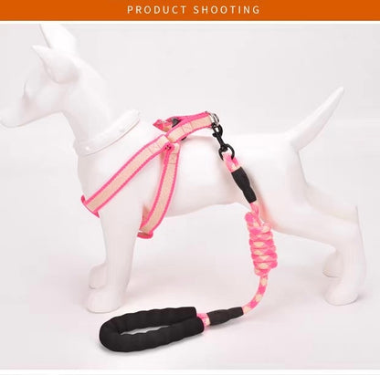 Dog Harness and Leash Set | Small - Medium