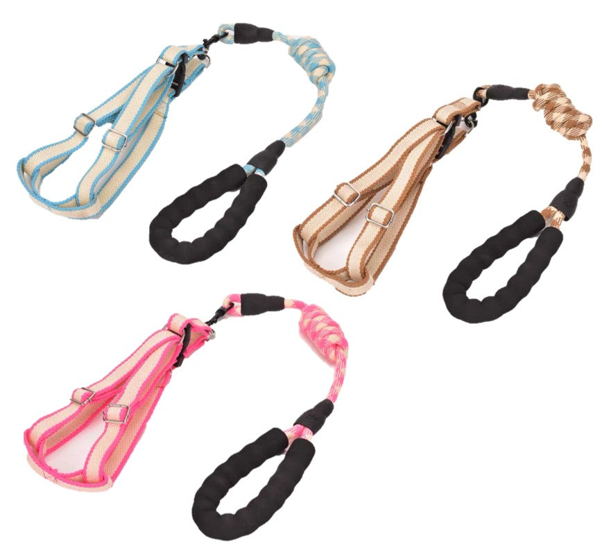 Dog Harness and Leash Set | Small - Medium