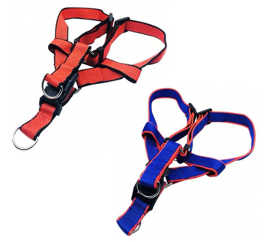 Dog Harness and Leash Set | Large - XL