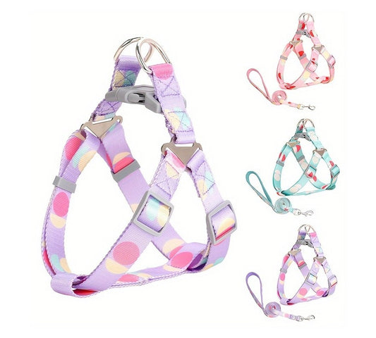 Dog Harness and Leash Set | XS - Small